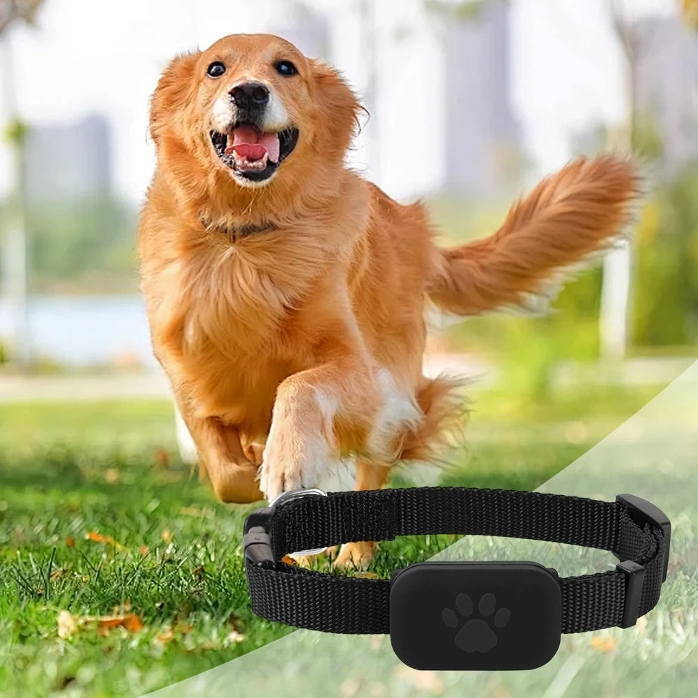 Waterproof GPS Pet Tracker with Adjustable Silicone Collar for Dogs and Cats